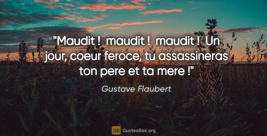 Gustave Flaubert citation: "Maudit !  maudit !  maudit !  Un jour, coeur feroce, tu..."