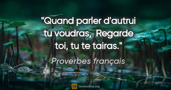 Proverbes français citation: "Quand parler d'autrui tu voudras,  Regarde toi, tu te tairas."