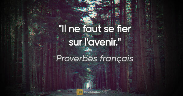 Proverbes français citation: "Il ne faut se fier sur l'avenir."