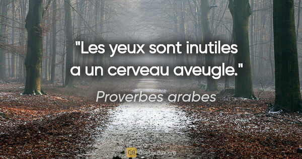 Proverbes arabes citation: "Les yeux sont inutiles a un cerveau aveugle."