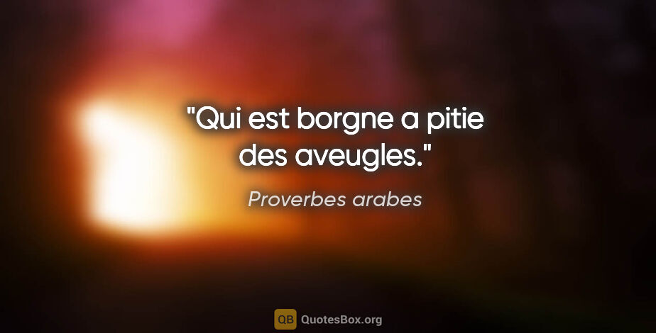 Proverbes arabes citation: "Qui est borgne a pitie des aveugles."