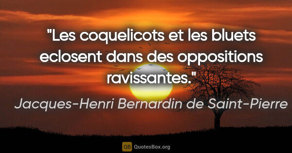 Jacques-Henri Bernardin de Saint-Pierre citation: "Les coquelicots et les bluets eclosent dans des oppositions..."