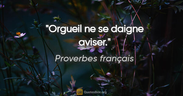 Proverbes français citation: "Orgueil ne se daigne aviser."
