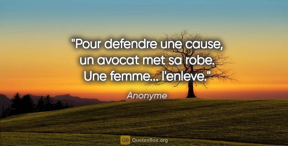Anonyme citation: "Pour defendre une cause, un avocat met sa robe. Une femme......"