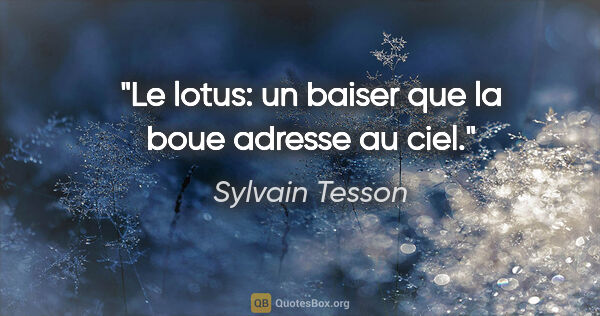 Sylvain Tesson citation: "Le lotus: un baiser que la boue adresse au ciel."