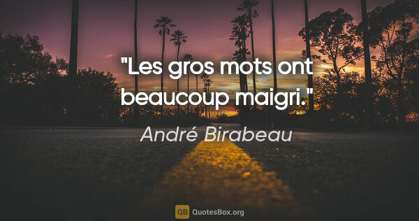 André Birabeau citation: "Les gros mots ont beaucoup maigri."