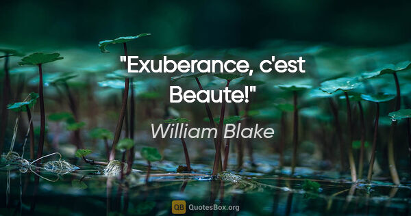 William Blake citation: "Exuberance, c'est Beaute!"