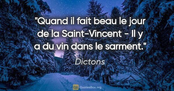 Dictons citation: "Quand il fait beau le jour de la Saint-Vincent - Il y a du vin..."