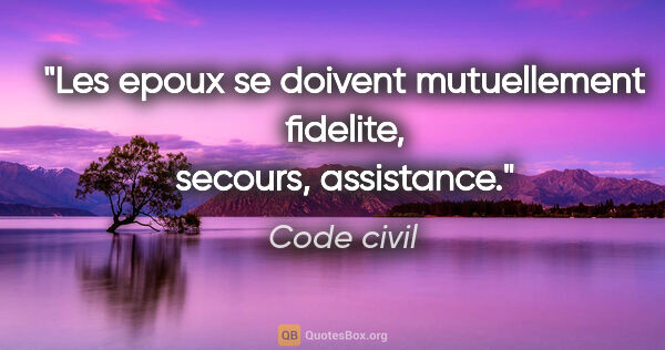 Code civil citation: "Les epoux se doivent mutuellement fidelite, secours, assistance."