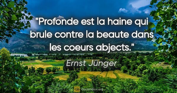 Ernst Jünger citation: "Profonde est la haine qui brule contre la beaute dans les..."