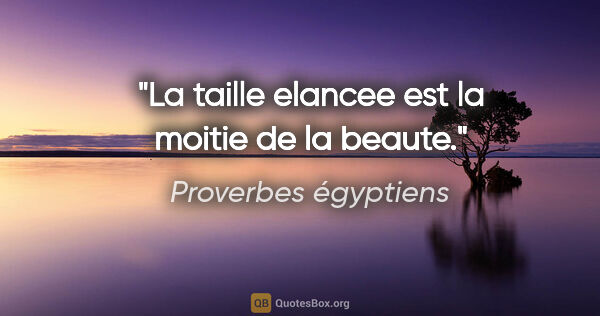 Proverbes égyptiens citation: "La taille elancee est la moitie de la beaute."