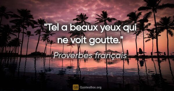 Proverbes français citation: "Tel a beaux yeux qui ne voit goutte."