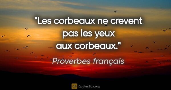 Proverbes français citation: "Les corbeaux ne crevent pas les yeux aux corbeaux."