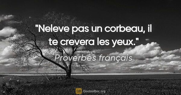 Proverbes français citation: "Neleve pas un corbeau, il te crevera les yeux."