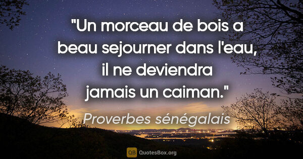 Proverbes sénégalais citation: "Un morceau de bois a beau sejourner dans l'eau, il ne..."