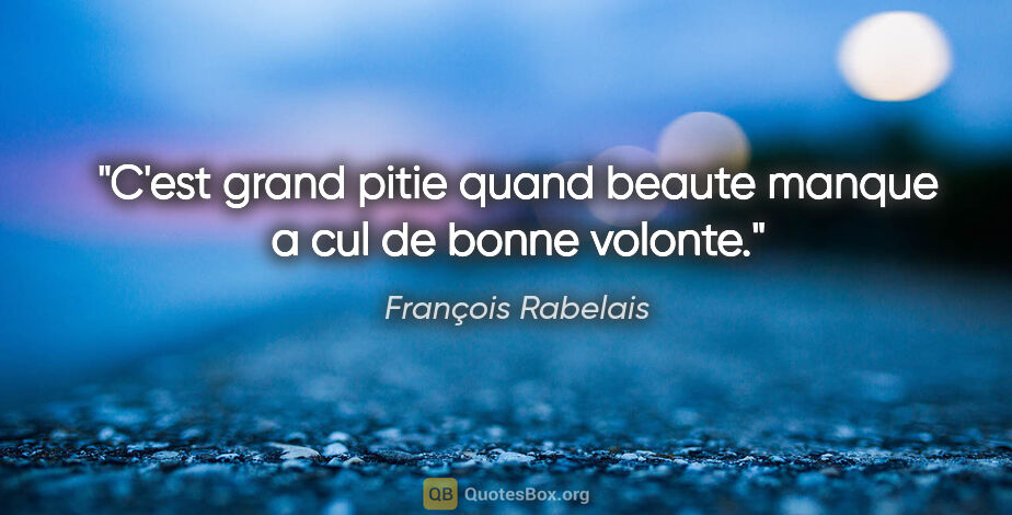 François Rabelais citation: "C'est grand pitie quand beaute manque a cul de bonne volonte."