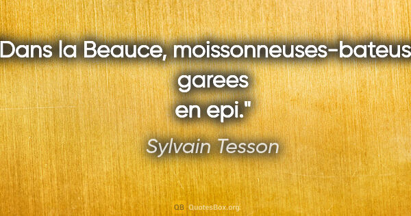 Sylvain Tesson citation: "Dans la Beauce, moissonneuses-bateuses garees en epi."