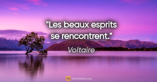 Voltaire citation: "Les beaux esprits se rencontrent."