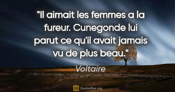 Voltaire citation: "Il aimait les femmes a la fureur. Cunegonde lui parut ce qu'il..."