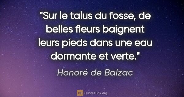 Honoré de Balzac citation: "Sur le talus du fosse, de belles fleurs baignent leurs pieds..."