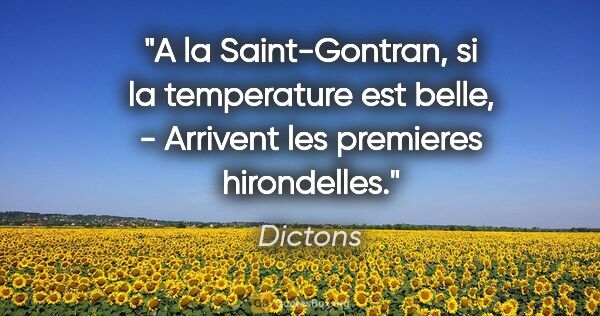 Dictons citation: "A la Saint-Gontran, si la temperature est belle, - Arrivent..."