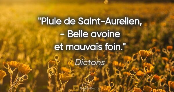 Dictons citation: "Pluie de Saint-Aurelien, - Belle avoine et mauvais foin."