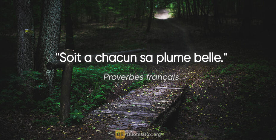 Proverbes français citation: "Soit a chacun sa plume belle."