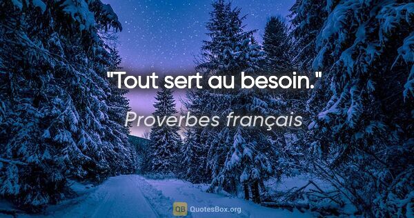 Proverbes français citation: "Tout sert au besoin."