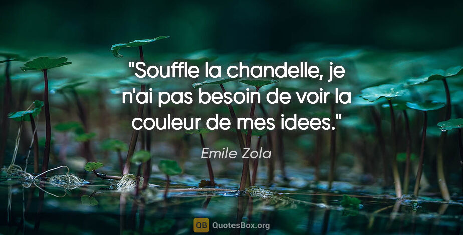 Emile Zola citation: "Souffle la chandelle, je n'ai pas besoin de voir la couleur de..."