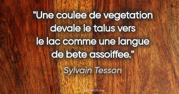 Sylvain Tesson citation: "Une coulee de vegetation devale le talus vers le lac comme une..."