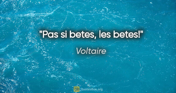 Voltaire citation: "Pas si betes, les betes!"