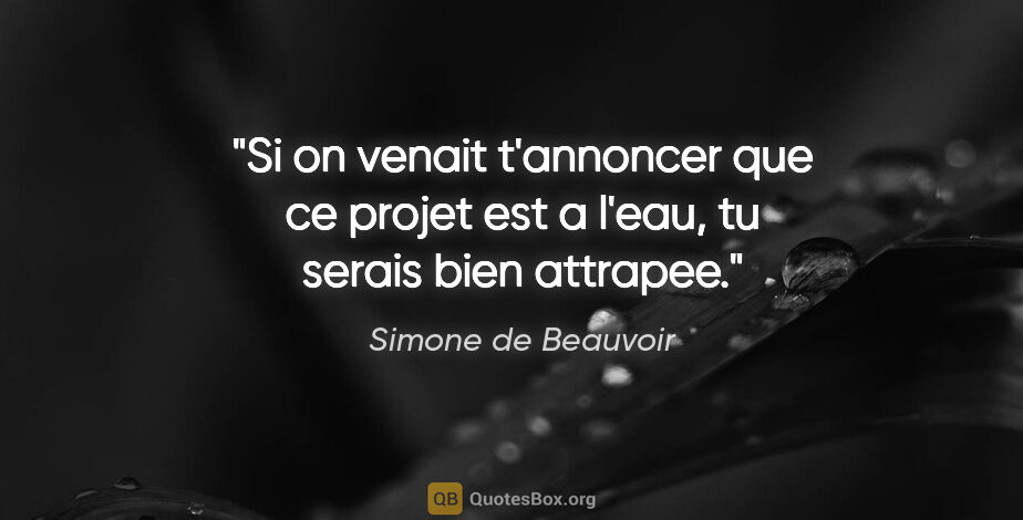 Simone de Beauvoir citation: "Si on venait t'annoncer que ce projet est a l'eau, tu serais..."