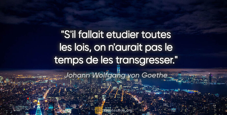 Johann Wolfgang von Goethe citation: "S'il fallait etudier toutes les lois, on n'aurait pas le temps..."