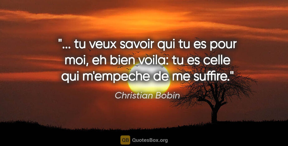 Christian Bobin citation: " tu veux savoir qui tu es pour moi, eh bien voila: tu es celle..."