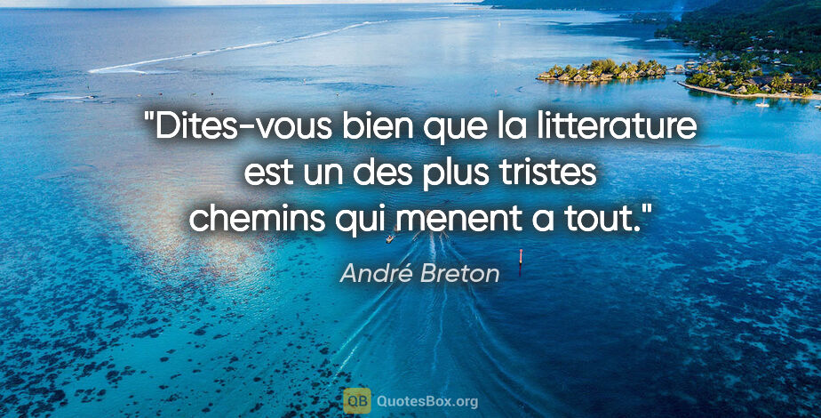 André Breton citation: "Dites-vous bien que la litterature est un des plus tristes..."