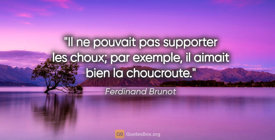Ferdinand Brunot citation: "Il ne pouvait pas supporter les choux; par exemple, il aimait..."