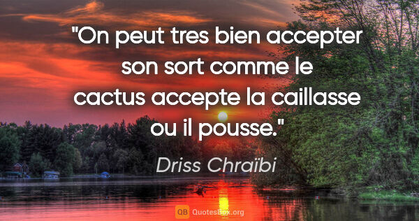 Driss Chraïbi citation: "On peut tres bien accepter son sort comme le cactus accepte la..."