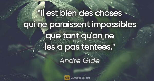 André Gide citation: "Il est bien des choses qui ne paraissent impossibles que tant..."