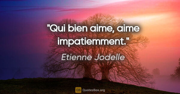 Etienne Jodelle citation: "Qui bien aime, aime impatiemment."