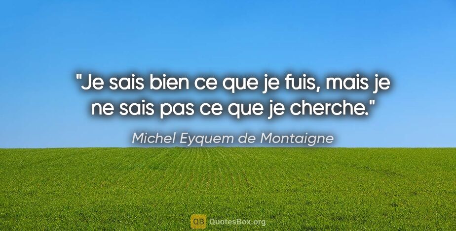 Michel Eyquem de Montaigne citation: "Je sais bien ce que je fuis, mais je ne sais pas ce que je..."
