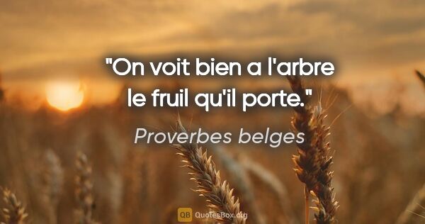 Proverbes belges citation: "On voit bien a l'arbre le fruil qu'il porte."