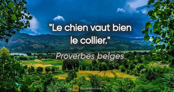 Proverbes belges citation: "Le chien vaut bien le collier."