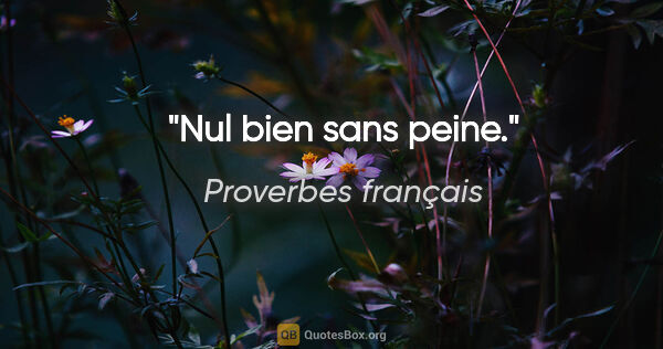 Proverbes français citation: "Nul bien sans peine."