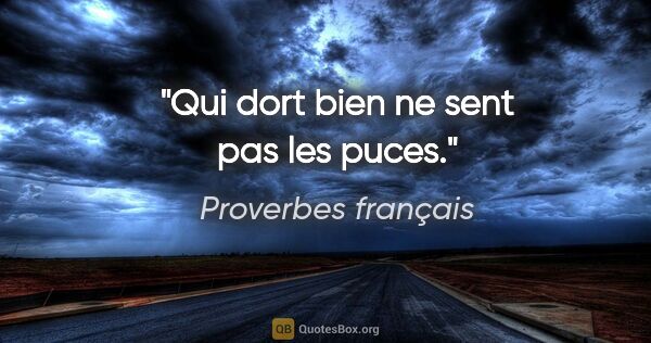 Proverbes français citation: "Qui dort bien ne sent pas les puces."