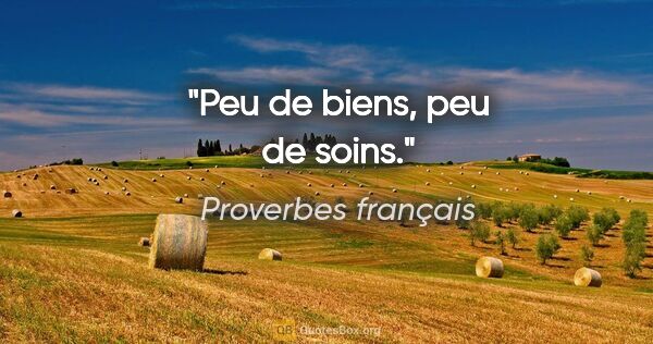 Proverbes français citation: "Peu de biens, peu de soins."
