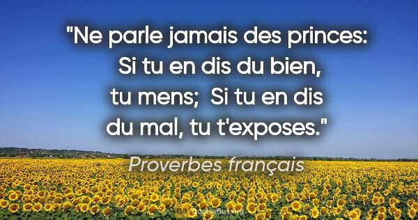 Proverbes français citation: "Ne parle jamais des princes:  Si tu en dis du bien, tu mens; ..."