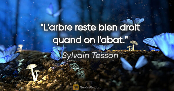 Sylvain Tesson citation: "L'arbre reste bien droit quand on l'abat."