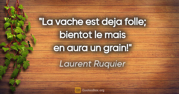 Laurent Ruquier citation: "La vache est deja folle; bientot le mais en aura un grain!"