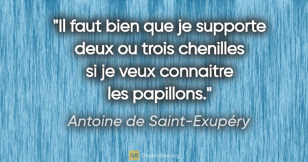 Antoine de Saint-Exupéry citation: "Il faut bien que je supporte deux ou trois chenilles si je..."