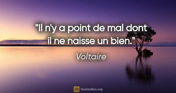 Voltaire citation: "Il n'y a point de mal dont il ne naisse un bien."